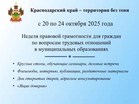 "Баннер о неделе правовой грамотности"